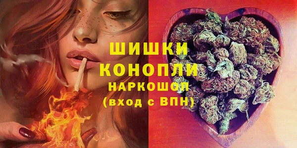 дмт Рославль