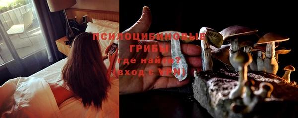 амф Россошь