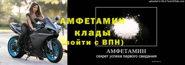 амф Россошь