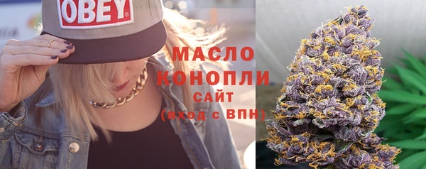 дмт Рославль