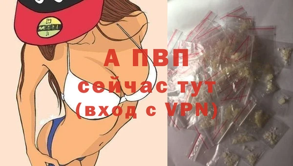 амф Россошь